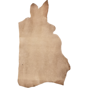 Forpart, slangeprget