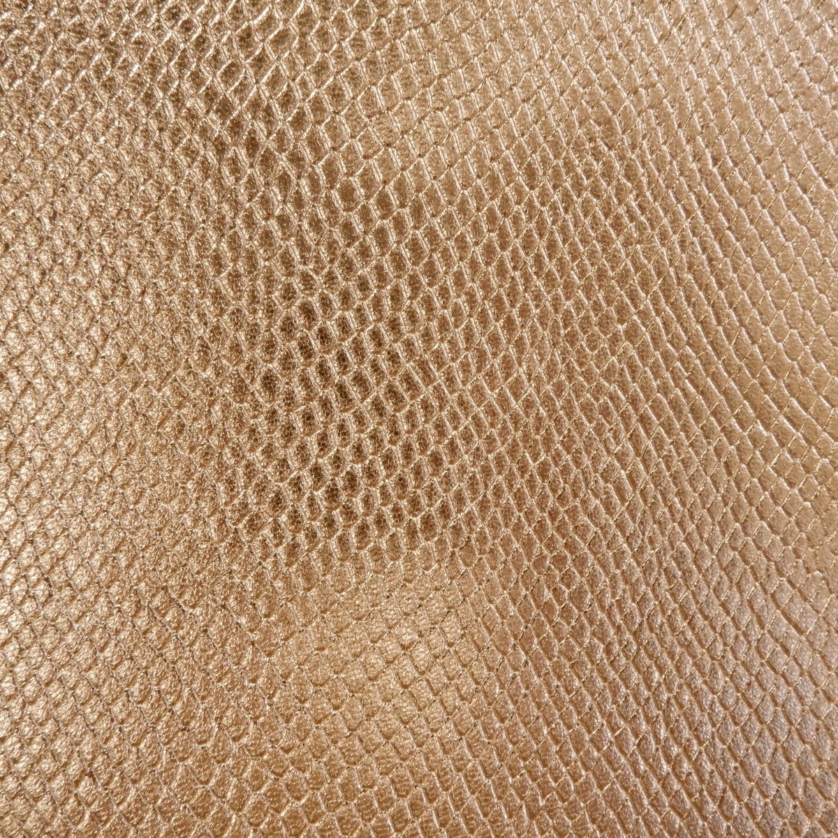Ziegenleder Schlangen-Aufdruck - Häute - Lederiet.de