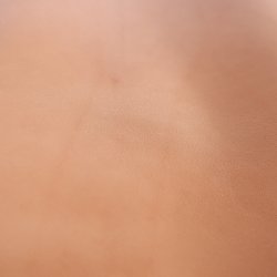 Anilinlder parti parti Rustic Saddle