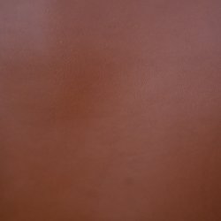 Anilin lder parti Env