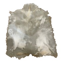 Trommeskind gedeskind