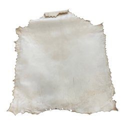 Trommeskind gedeskind