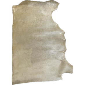 Parchment side August Renz