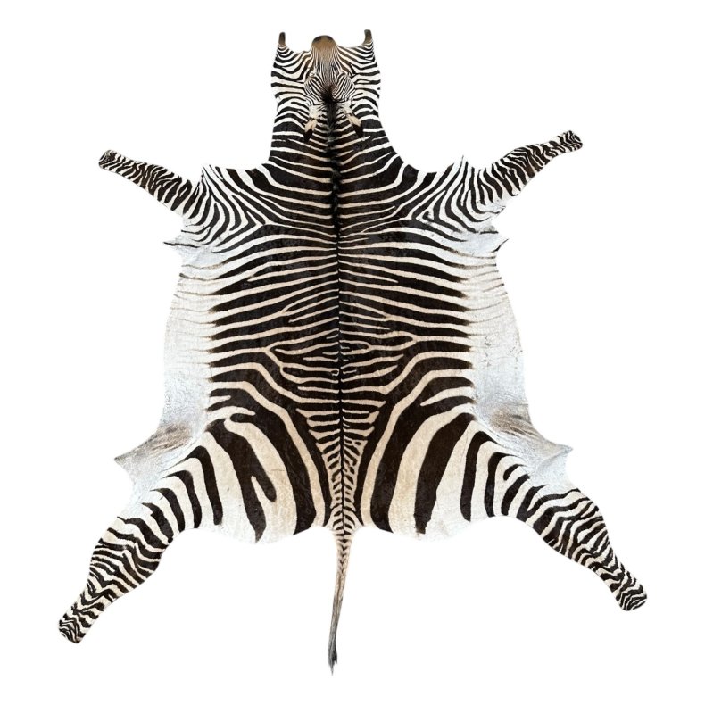 Zebraskind, 2,60x1,55 m No. 02 Hartmanns pr. stk.