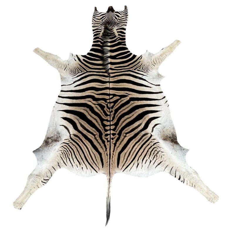 Zebraskind, 2,60 x 1,45 m No. 03 Burchell pr. stk.