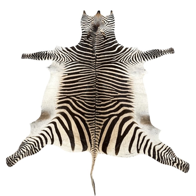 Zebraskind, 2,40 x 1,40 m No. 02 Hartmanns pr. stk.