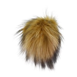 Pompon Racoon