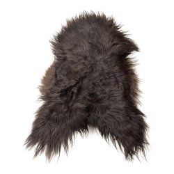 Lammeskind, Islandsk langhret