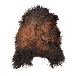 Lammeskind, Islandsk 