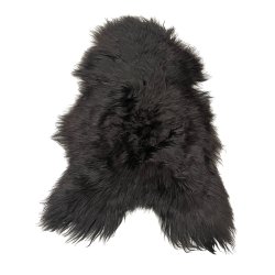 Lammeskind, Islandsk 