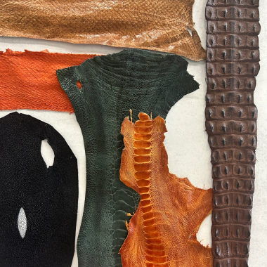 Exotic leather and skins