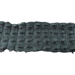 Krokodilleskind, ryg