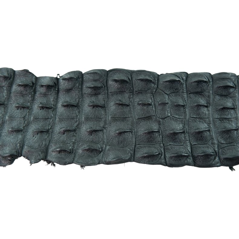 Krokodilleder Rckenschnitt, ca. 90 cm Schwarz pro St&uuml;ck