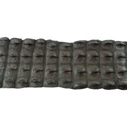 Krokodilleskind, ryg