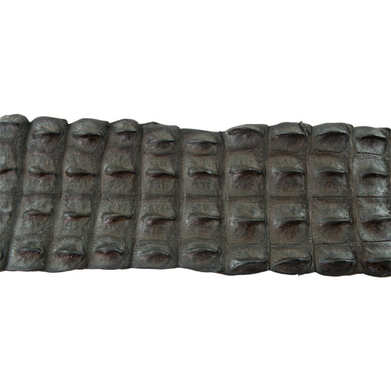 Krokodilleder Rckenschnitt, ca. 90 cm Dunkelbraun pro St&uuml;ck