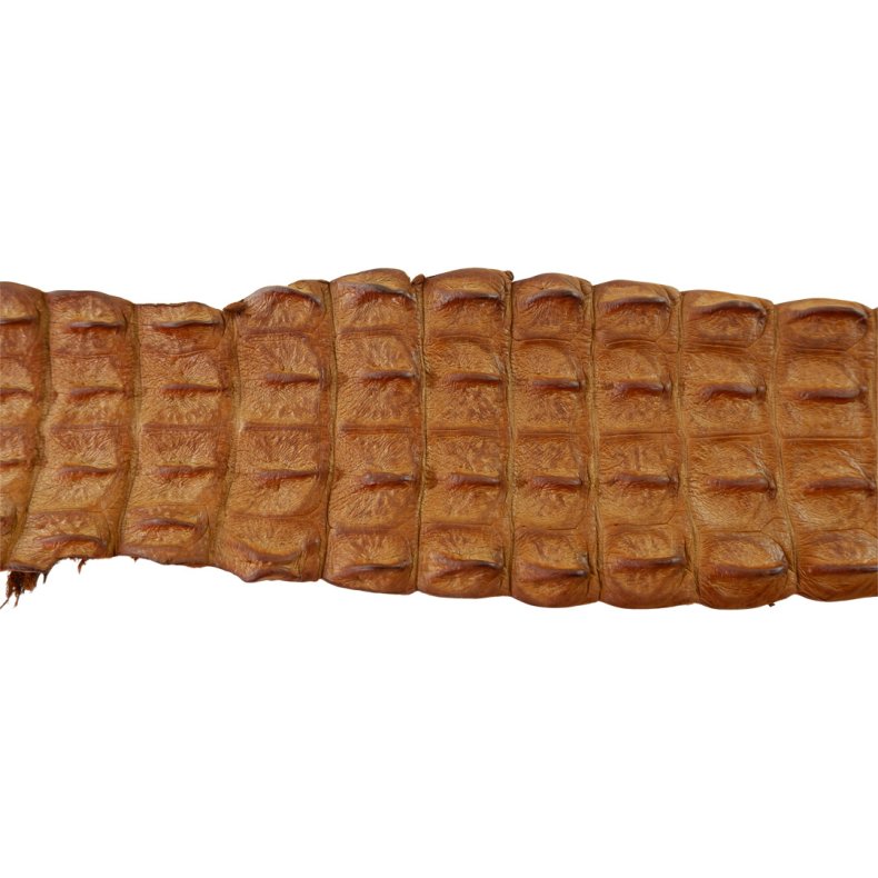 Krokodilleder Rckenschnitt, ca. 90 cm Cognac pro St&uuml;ck