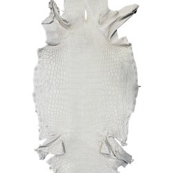 Krokodilleskind, bug