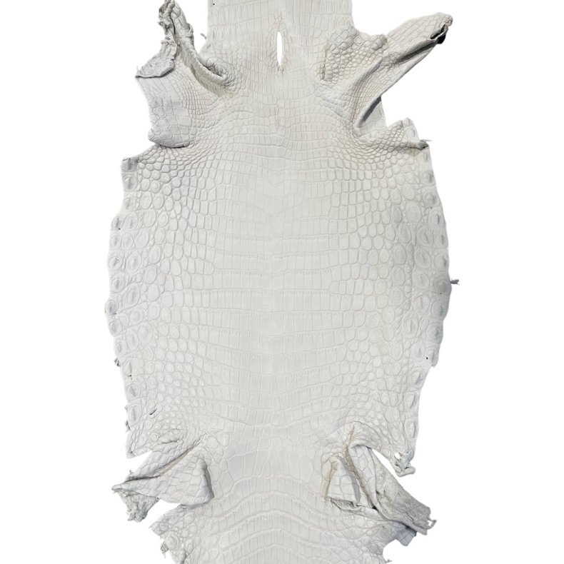 Krokodilleskind, bug