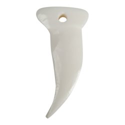 Claw of a Bear bone