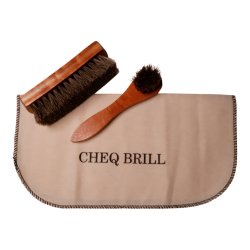 Shoe brush set with polishing cloth