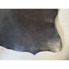 Hals, limited edition