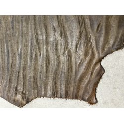 Forpart, limited edition