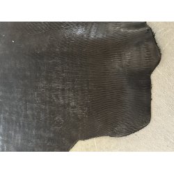 Forpart, limited edition