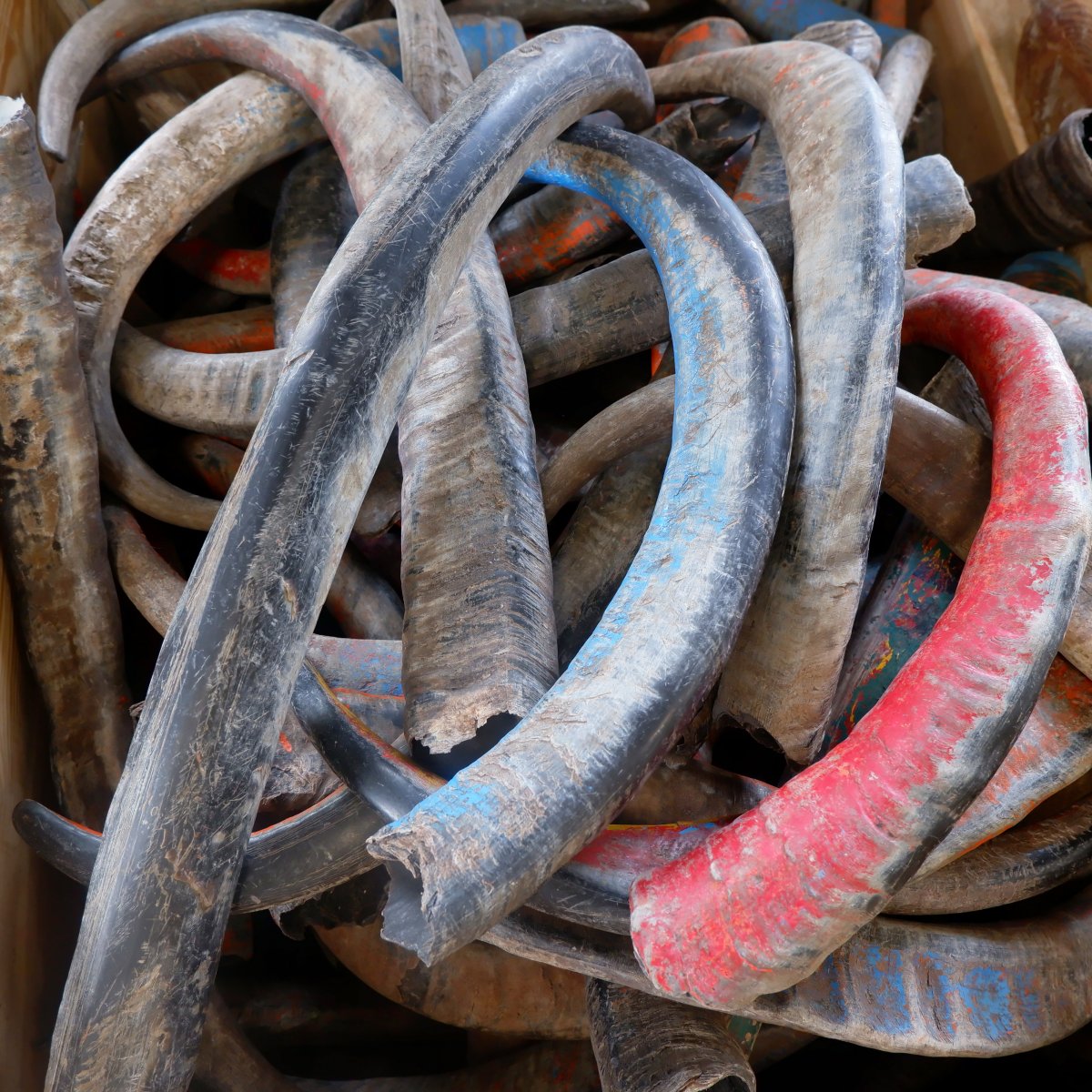 Horn materials Shop our selection online