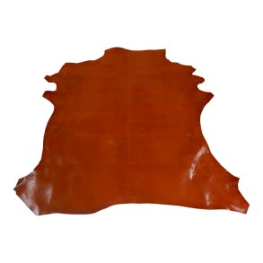 Sheep skin glossy