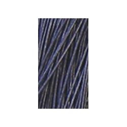 Leather lace 2 mm. 100 cm colored