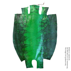 Eidechse Leder ca 30x30 cm.