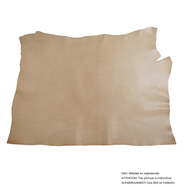 Forpart, 1,4-1,6 mm
