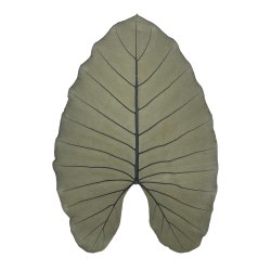 beLEAF