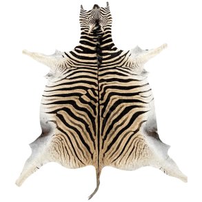 Zebra hide