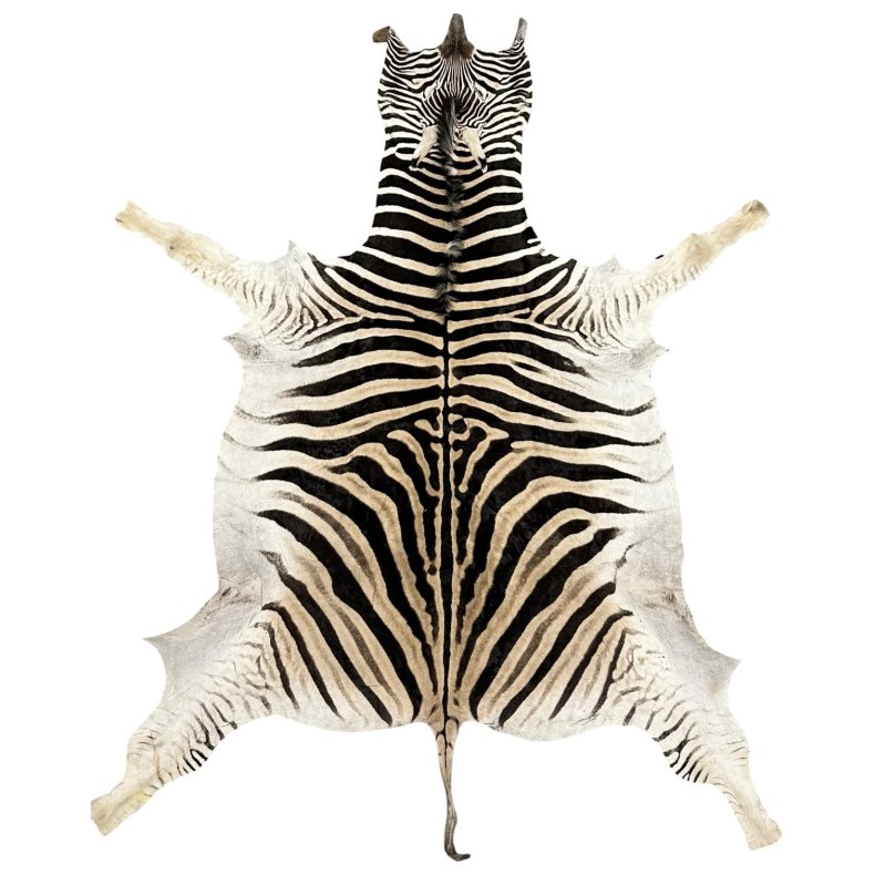 Zebra hide