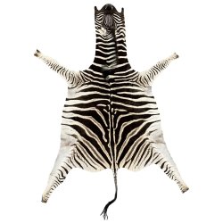 Zebra hide