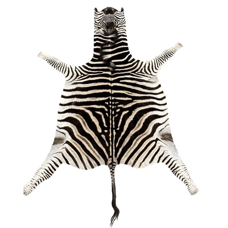 Zebra hide
