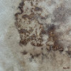 Hel plade,No. 09,ca. 0,8 mm.,pr. stk.