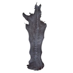 Skin of a Ostrich Leg