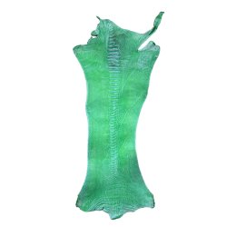 Skin of a Ostrich Leg