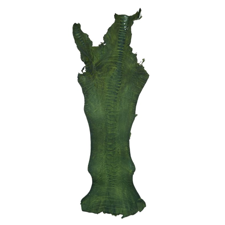 Skin of a Ostrich Leg