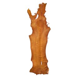 Skin of a Ostrich Leg