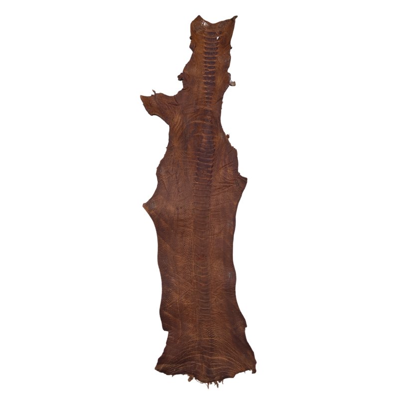 Skin of a Ostrich Leg