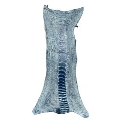 Skin of a Ostrich Leg