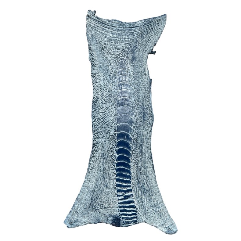 Skin of a Ostrich Leg