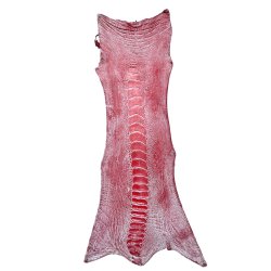 Skin of a Ostrich Leg