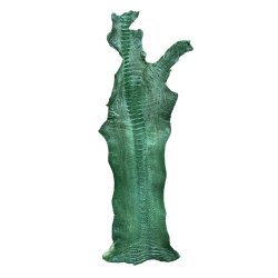 Skin of a Ostrich Leg