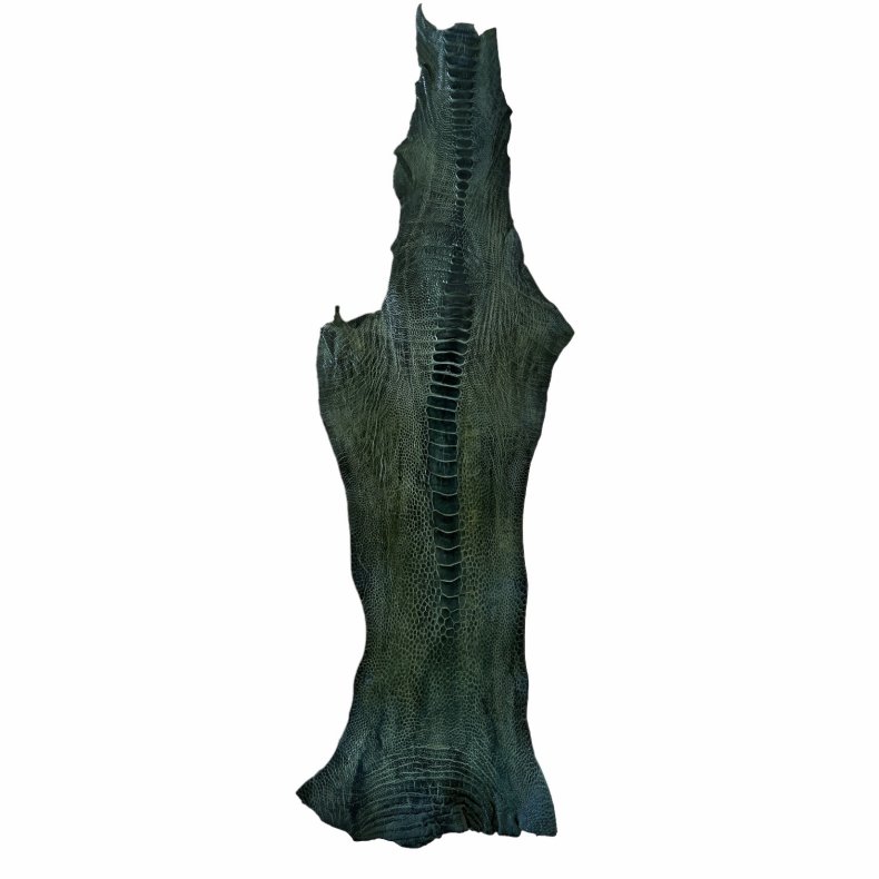 Skin of a Ostrich Leg