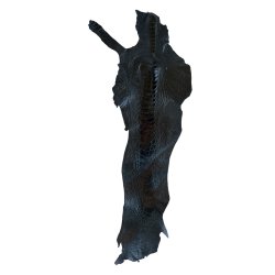 Skin of a Ostrich Leg