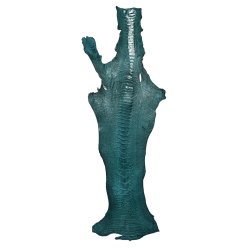 Skin of a Ostrich Leg